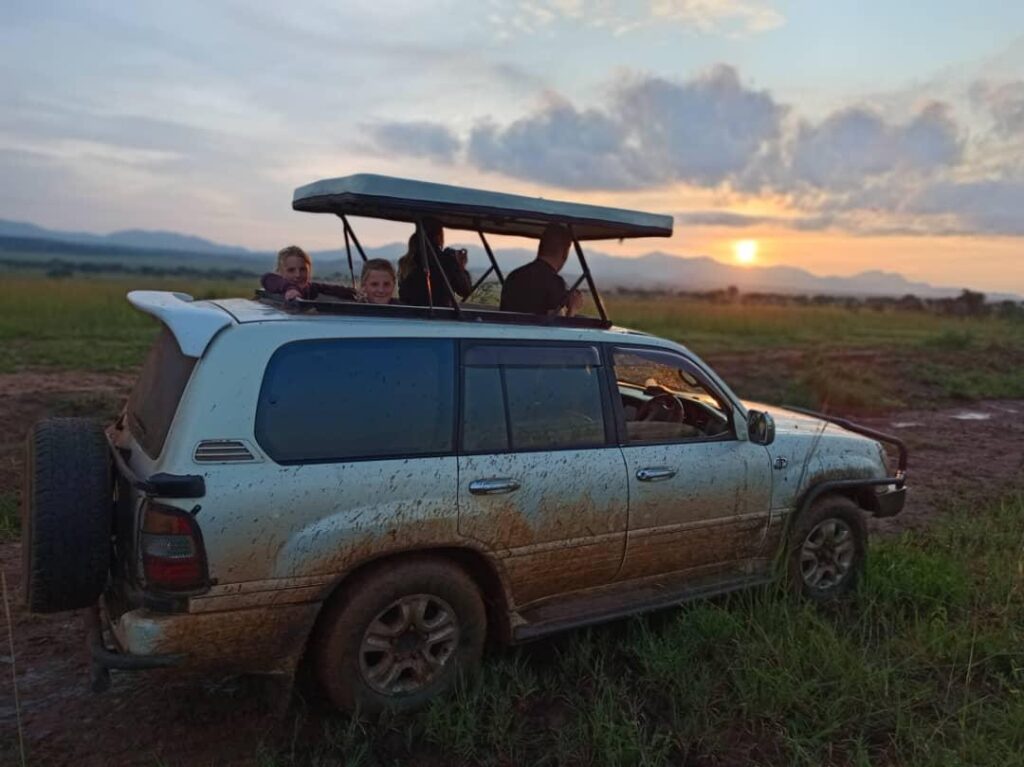 Lion tracking Uganda-14 day group safari Uganda