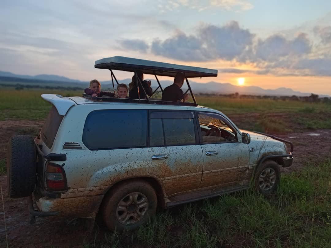 Lion tracking Uganda