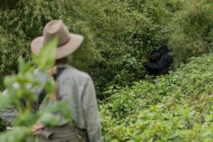 solo gorilla trekking Uganda