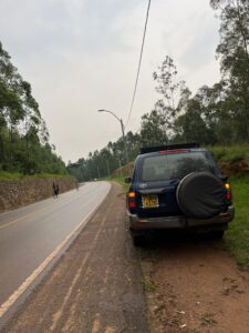 Cheap Gorilla Trekking Rwanda