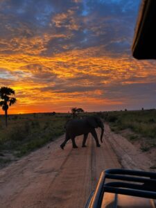 Music safaris Uganda